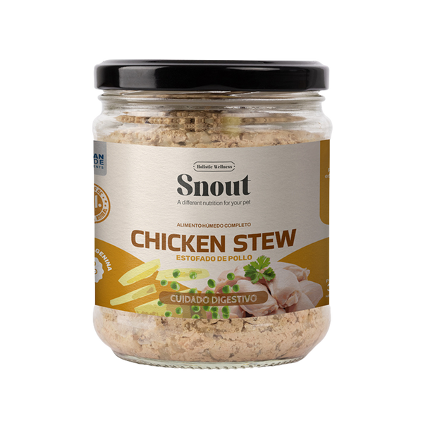 Chicken Stew-Guiso de pollo