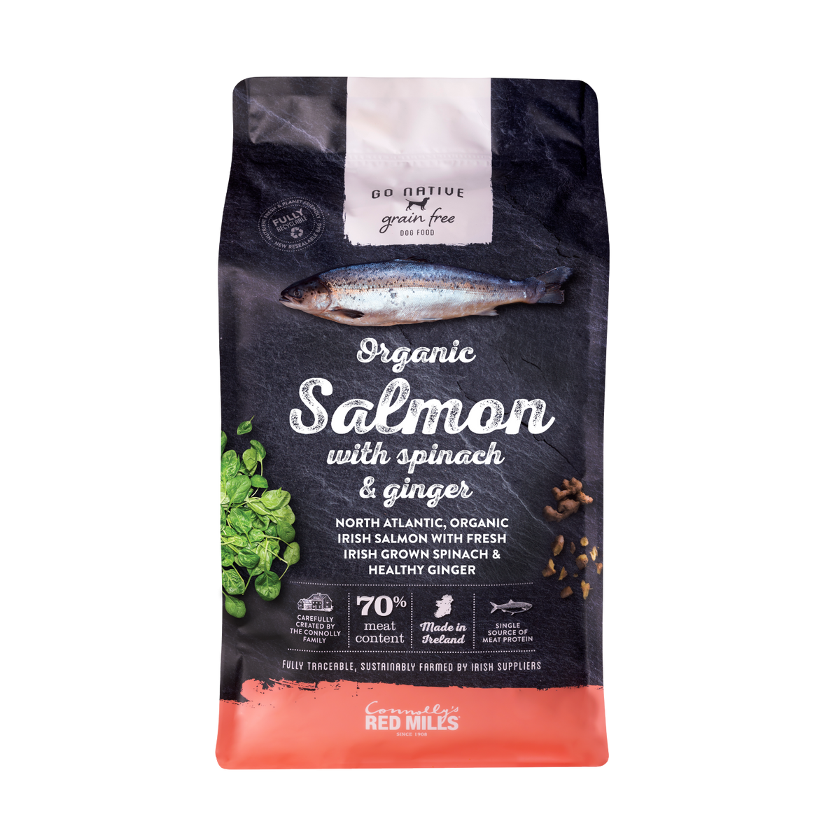 Go Native Perro Adulto (Salmon con espinacas y jengibre)