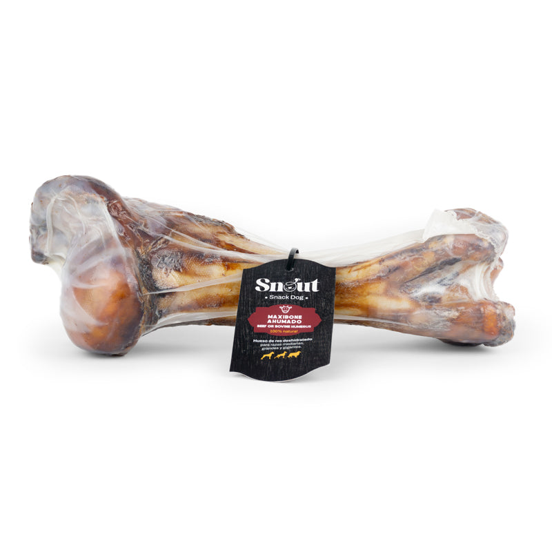Maxibone Ahumado (Beef Humerus)