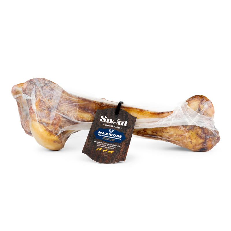 Maxibone Natural (Beef Humerus)
